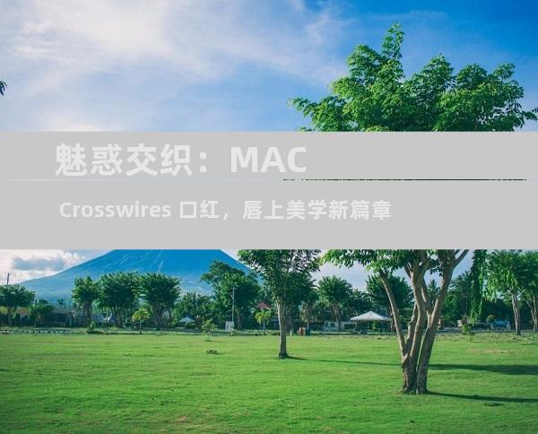 魅惑交织：MAC Crosswires 口红，唇上美学新篇章